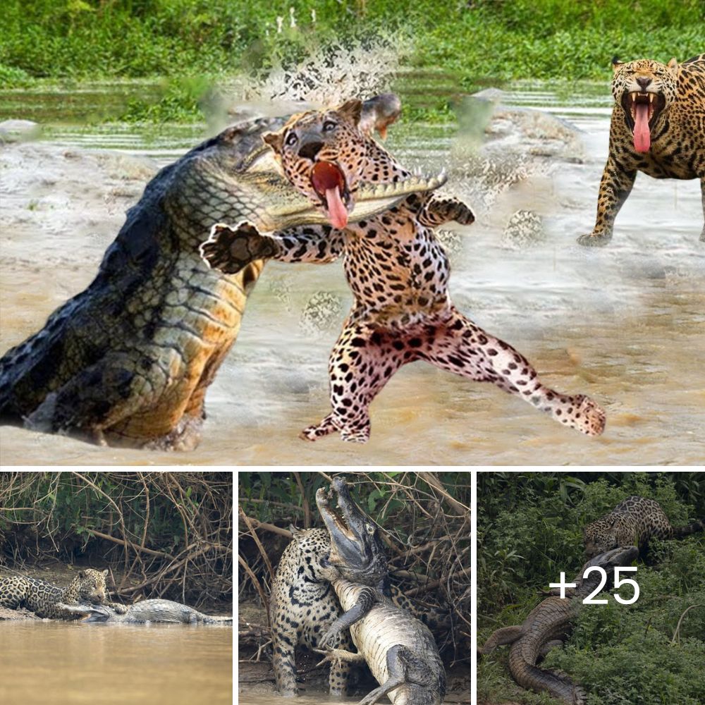 Touching Encounter: Rejected Blind Dog Finds His Most Faithful Companion in a Guide Dog, Who Promises to Never Abandon Him