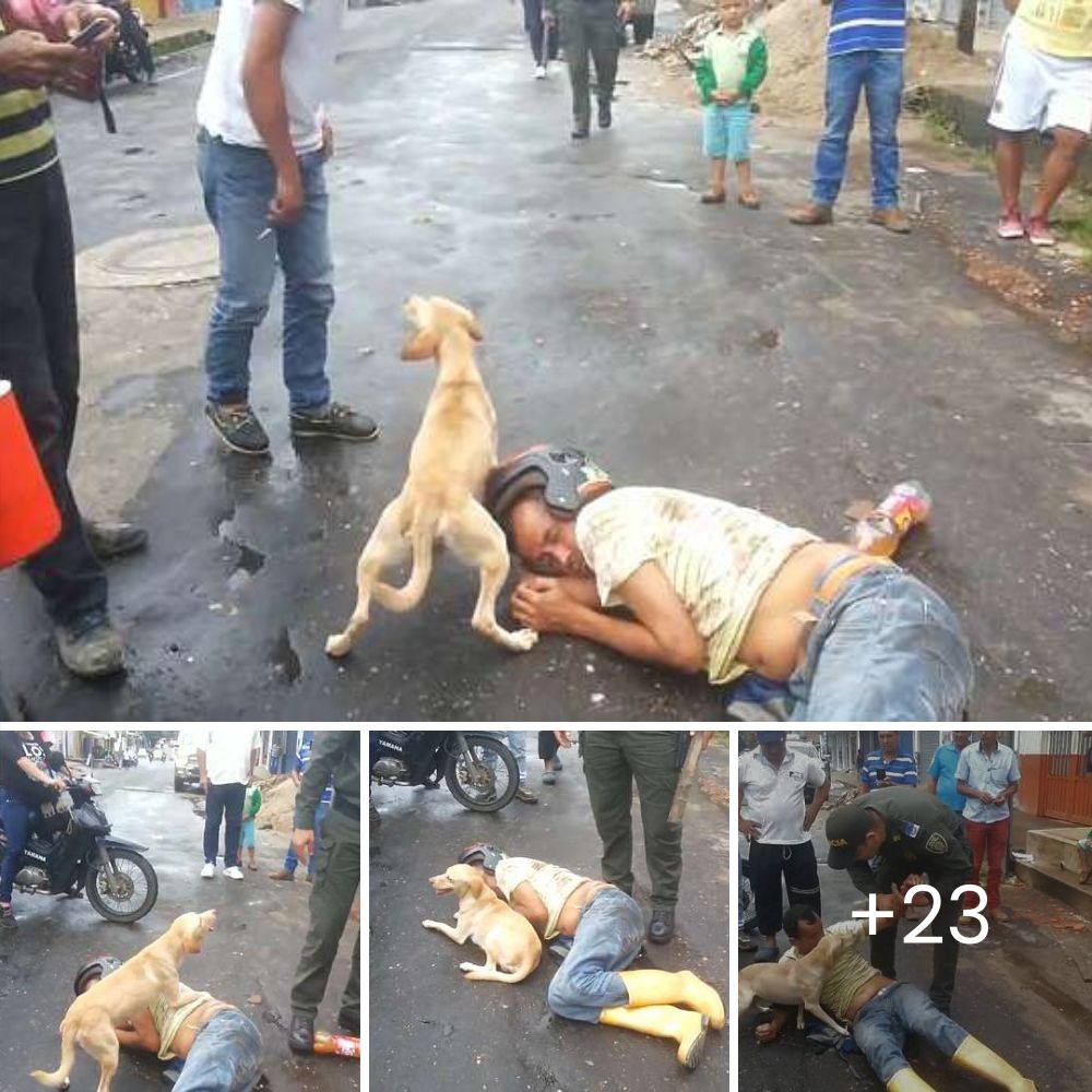 Agonizaba en un charco de barro, sin esperanza, hasta que un ángel lo rescató – «El amor lo sanó todo».