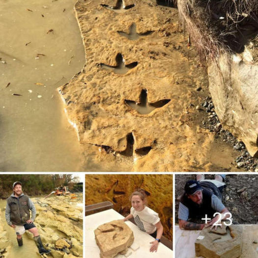 Tractor Driver Discovers First Bizarre Dinosaur Footprints Along South Island’s Otago River