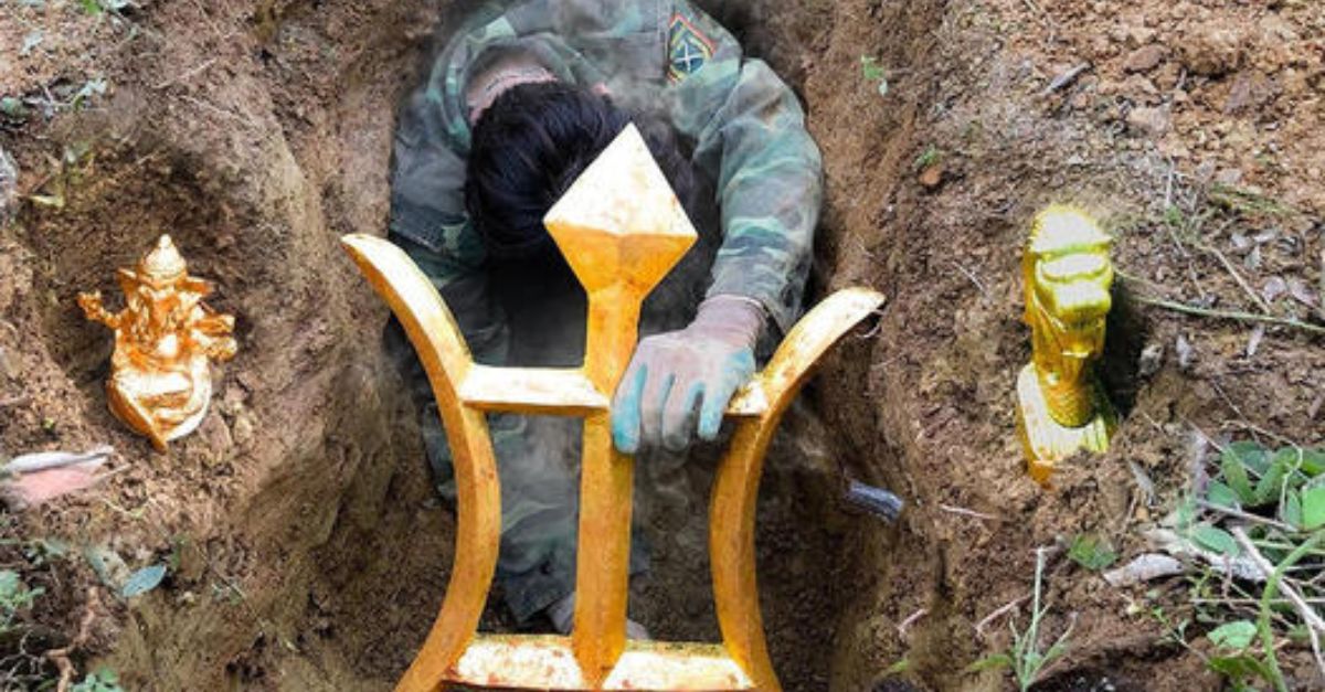 Un veterinario arriesga su vida para rescatar a una perrita temblorosa, abandonada en la autopista, dándole una segunda oportunidad