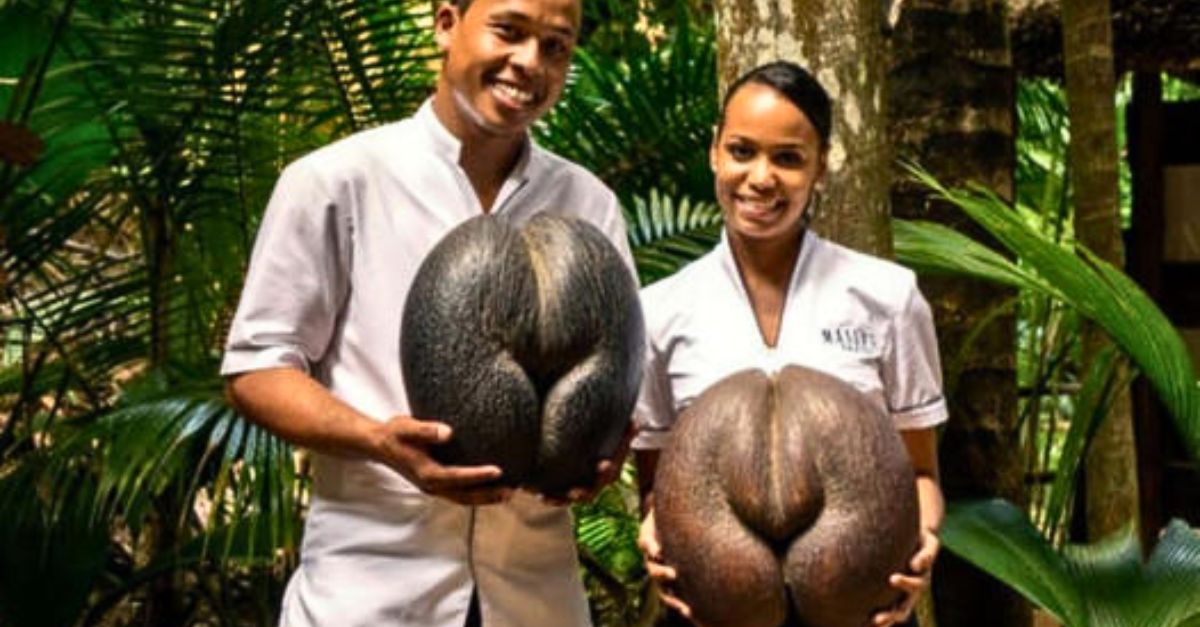 Bajó su cabecita con tristeza, como si supiera que su piel manchada no la hacía menos digna de amor