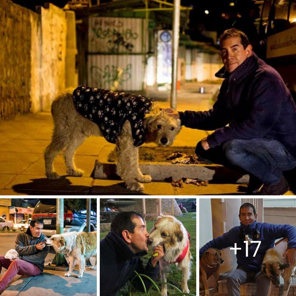 Una perrita fiel se queda al lado de su hermano casi ciego, cuidándolo con amor tras ser abandonados junto