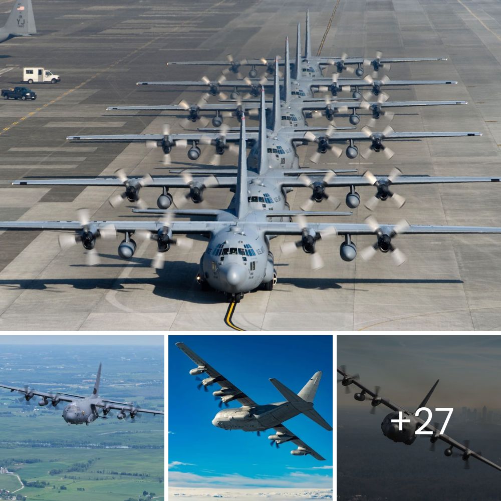 Perrita anciana esperó 6 años en un refugio, hasta que finalmente encontró el hogar lleno de amor que tanto soñó