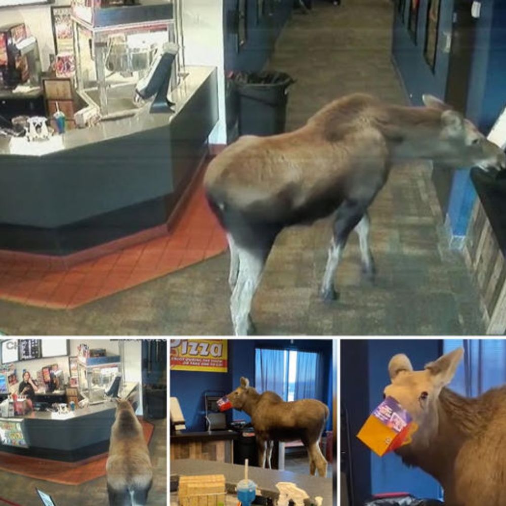 Helpless and Gasping for Air, a Man’s Struggle on the Streets Highlights the Deep Need for Humanity’s Compassion