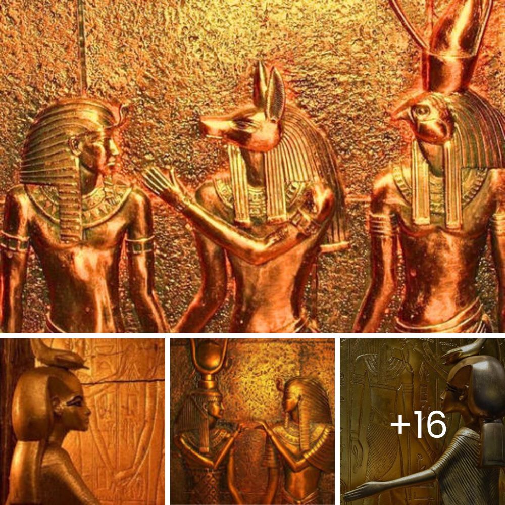 “I’m Scared Outside” – Heartbroken Pitbull Refuses to Leave the Cardboard Box Where He Was Found Abandoned and Alone