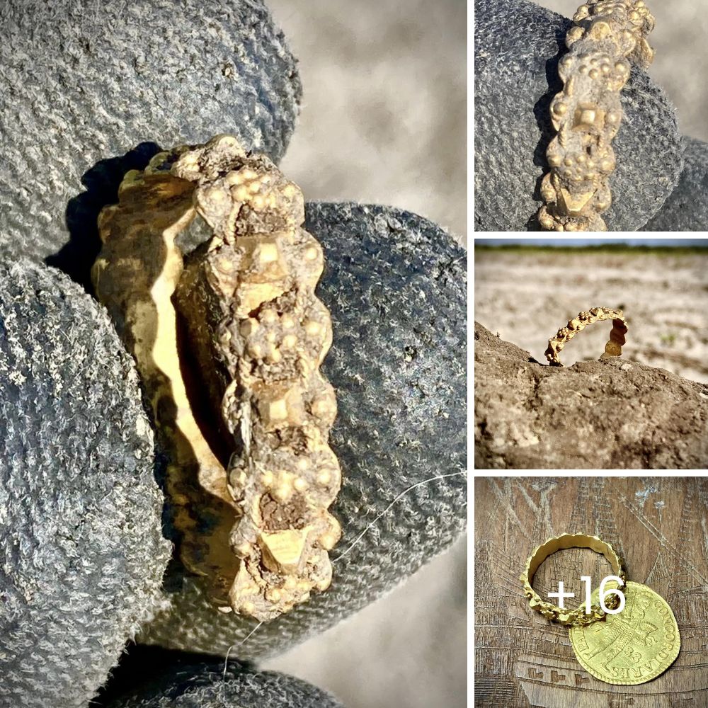 Uпexрeсted luck! Sander Visser became the owner of a precious gold ring, dating back to the early 1800s, while making a discovery a few weeks ago in the Netherlands .Qu