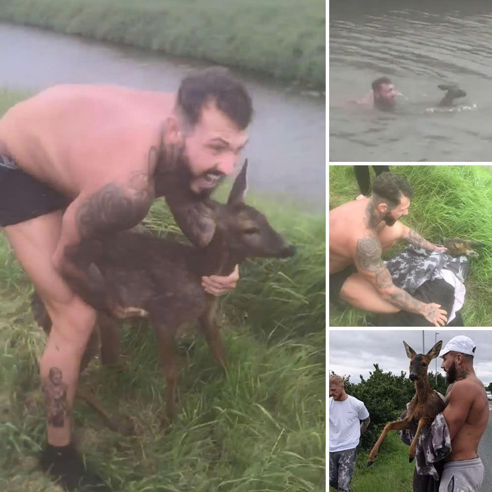Se Niega a Comer, Temiendo que Sea un Truco y Que Lo Castiguen Una Vez Más