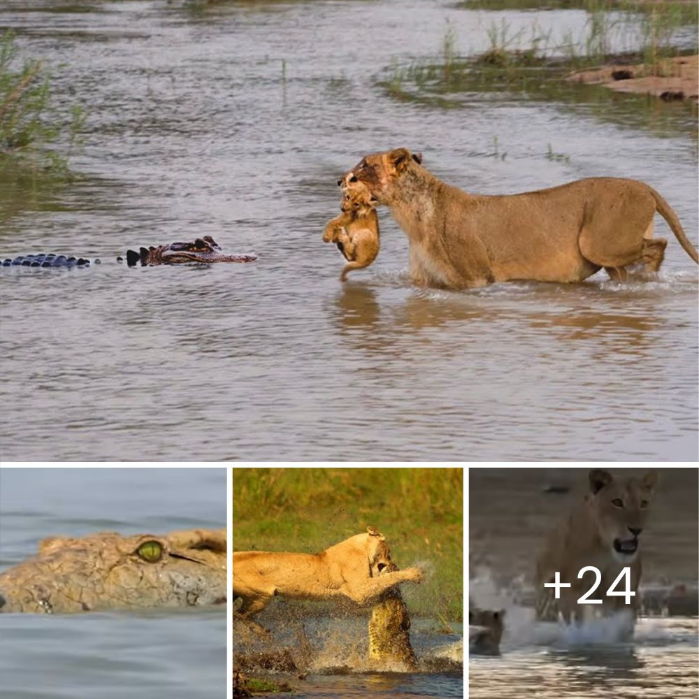 “Oh! Who are you?” – Underneath All That Mud Lies a Fuzzy Little Soul Waiting for a Gentle Hand to Help Clean Him Up