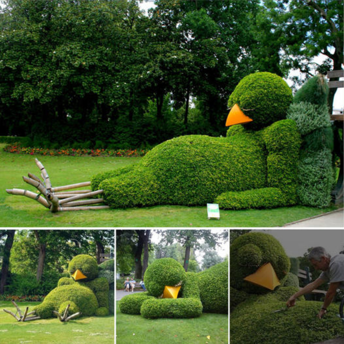 So Adorable! The Artist cleverly transforms foliage into sleeping baby birds ‎