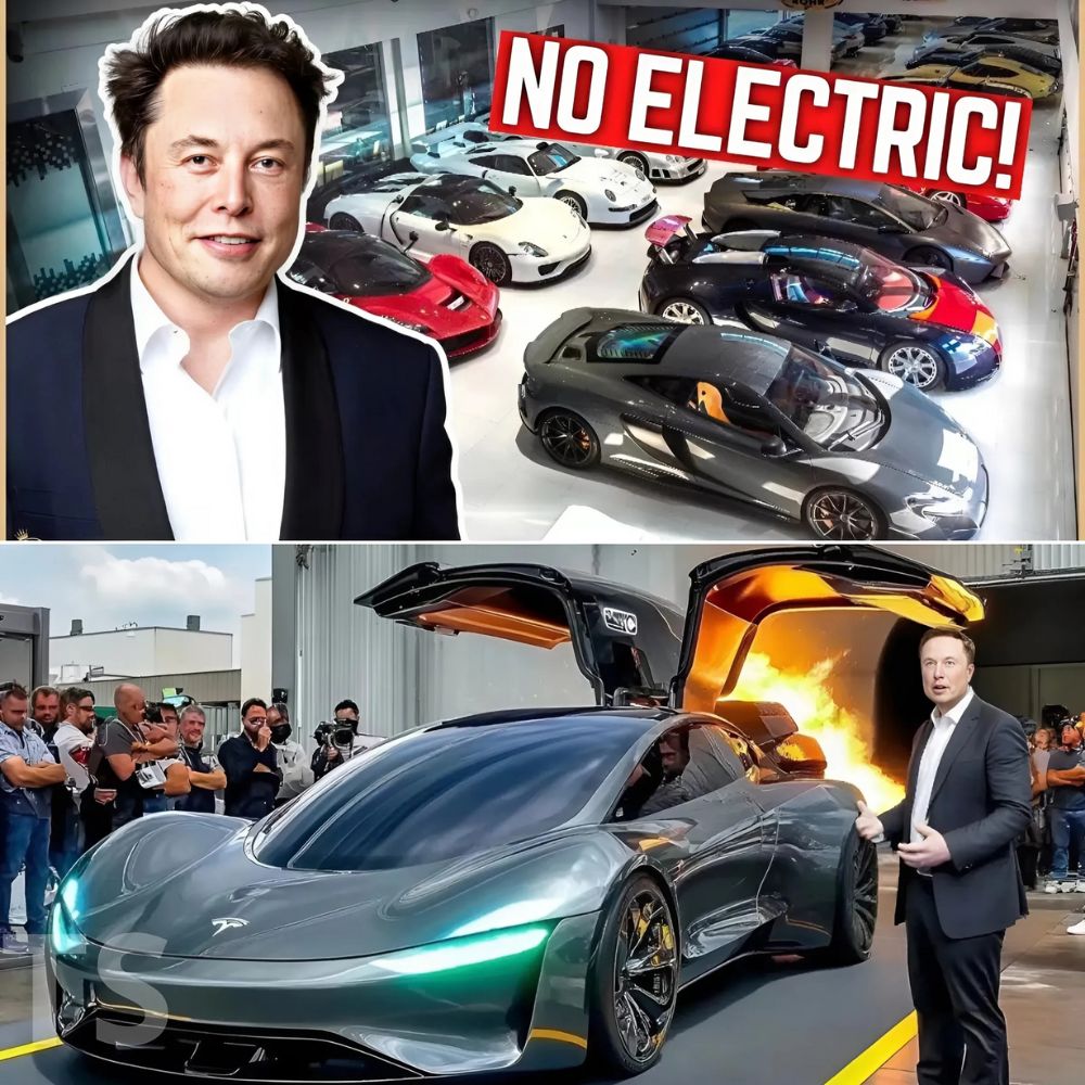 Perrita con Cáncer se Agarra a la Vida: Pide Helados para Costear su Tratamiento y Regalar Esperanza a Todos