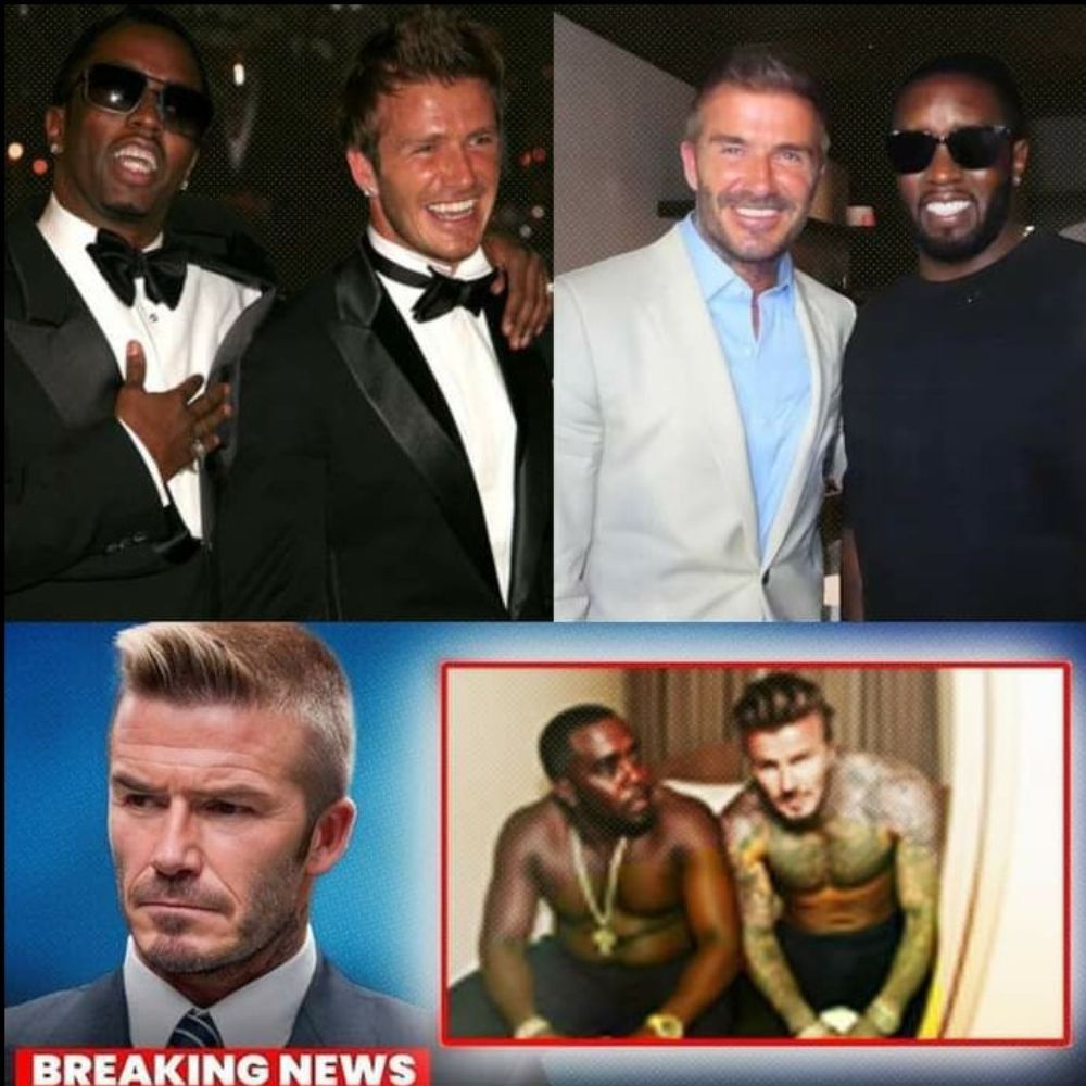 Inseparables en el dolor: Adoptan juntos a un pitbull y su amigo, pero días después abandonan al perrito ciego