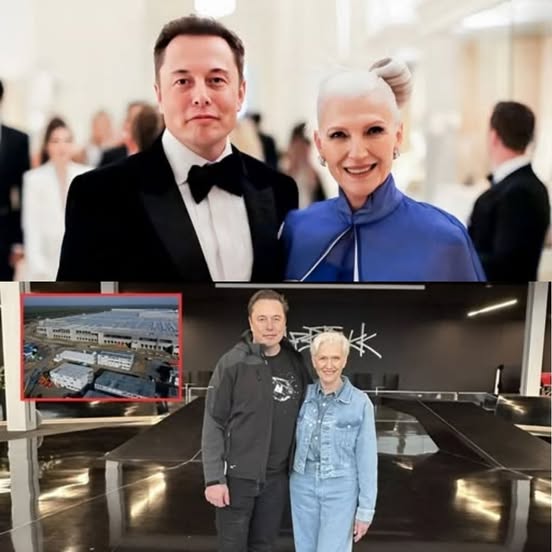 “Unidos Hasta el Final” – Adoptaron a un Pitbull Ciego para Consolar a su Gato, y Juntos Cruzaron el Arcoíris