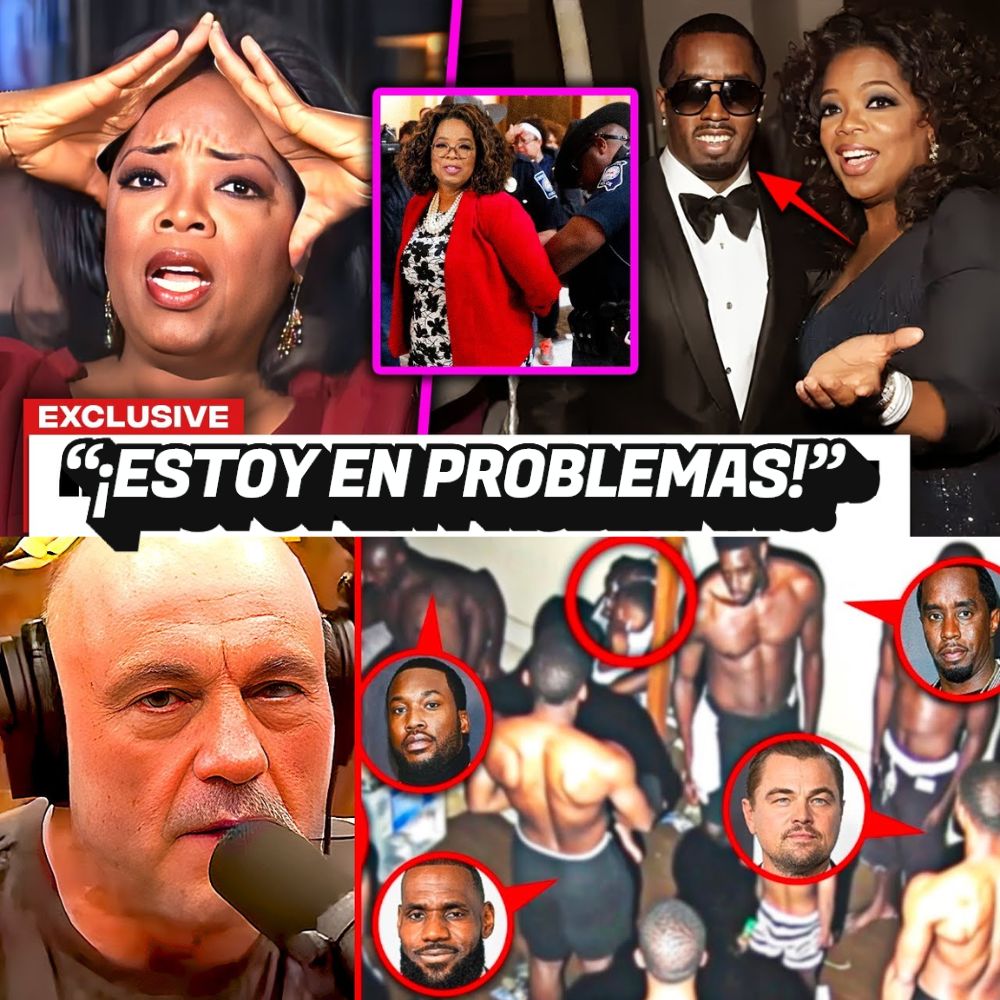 Aquí encontró su refugio: un viejo sofá abandonado se transforma en el cálido hogar de un alma necesitada y sola