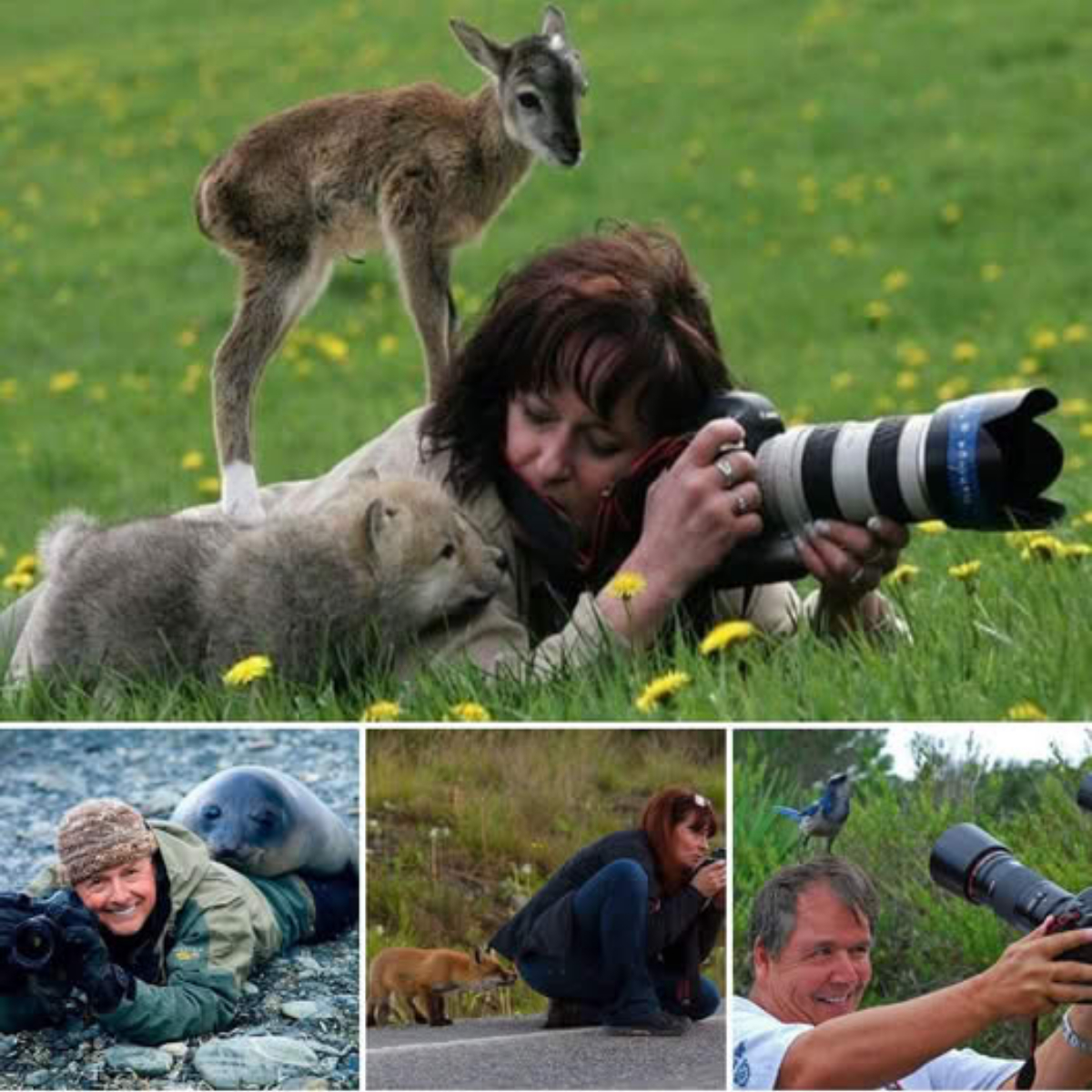 Hey, That’s My Back! – When Outdoor Photographers Are Outshined by Adorable Animals Stealing the Spotlight in Front of the Lens