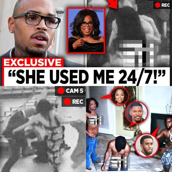 “Amor más allá del adiós” – Leal labrador espera incansable a su dueño fuera del hospital, sin saber que nunca volverá.