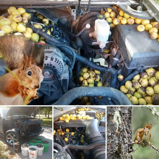 Meet the 26-year-old New Yorker with her pigeon who has built a fan base of more than 2.2 million followers on TikTok.video