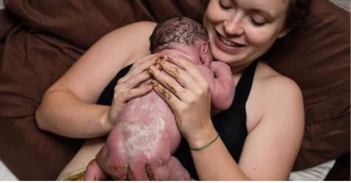 ¡Tragedia Inimaginable! Cachorro Acurrucado en una Caja de Cartón Mira al Cielo Gris con Ojos Llenos de Desesperación
