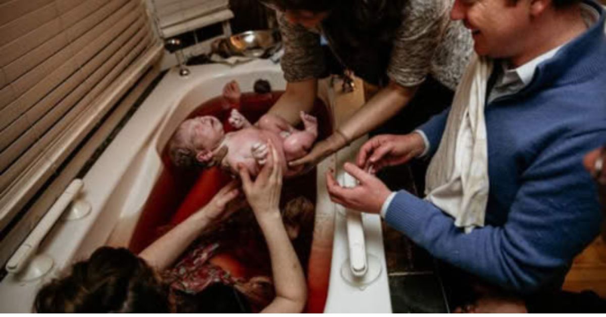 Unbroken Spirit: The Remarkable Determination of a Dog Abandoned by Its Owner, Overcoming Life with a Disability in One Eye