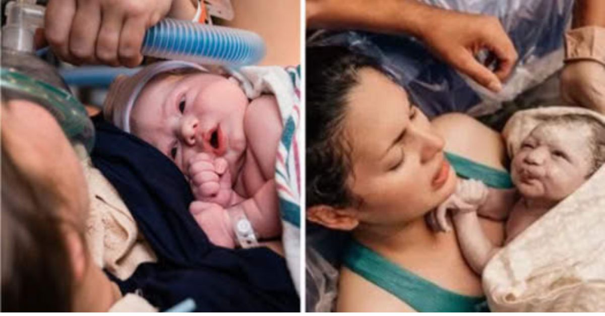 A Rescued Dog Refuses to Leave Orphaned Foal’s Side, Offering Comfort and Companionship Through Lonely Nights After a Difficult Birth