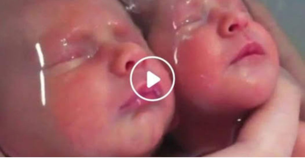 ¡Qué frío! La manta hecha jirones no podía esconder el miedo en sus ojos claros mientras su pequeño cuerpo temblaba