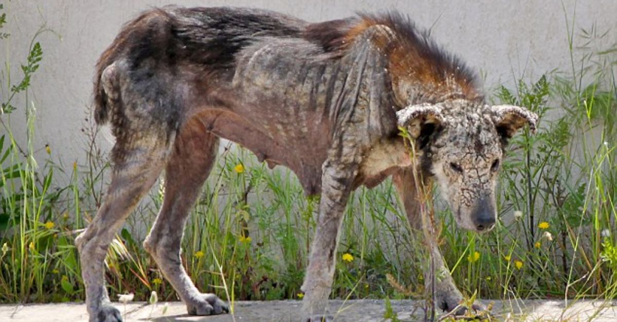 “Real Madrid’s Battle-Ready Lineup Revealed!” A Glimpse Into How the Giants Could Face Off in the Spanish Super Cup Final