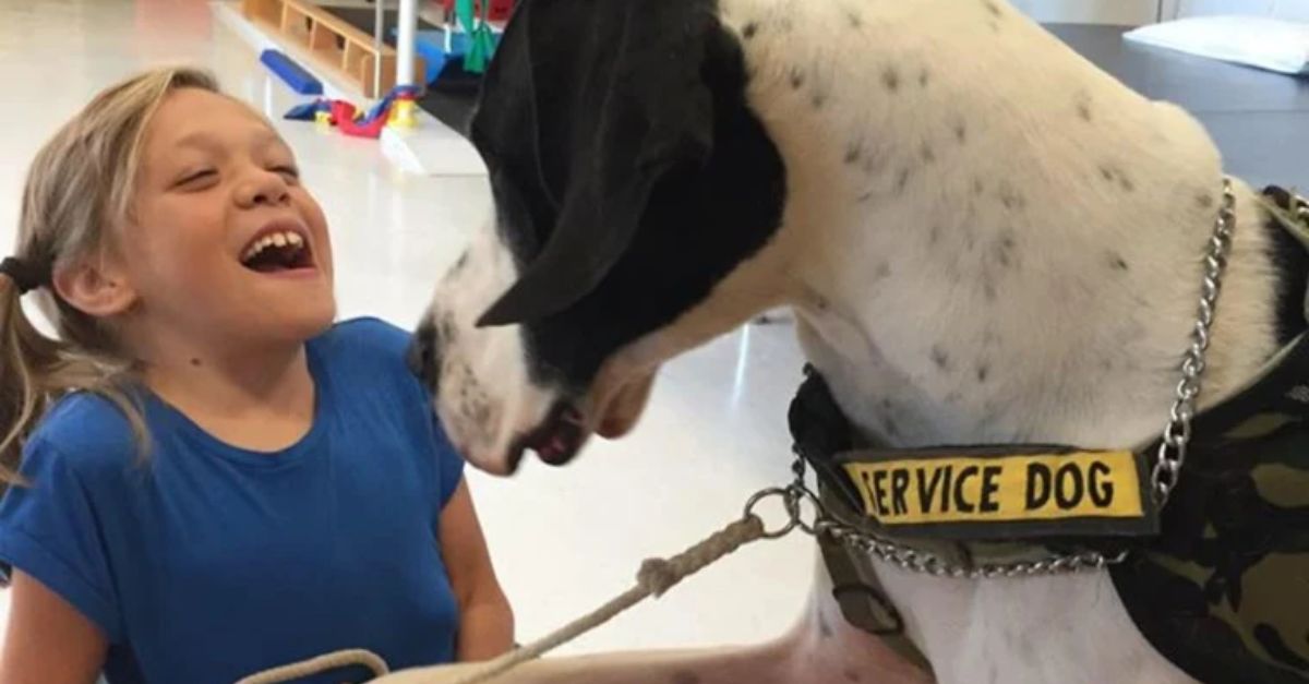 A Hero’s Act: Man Rescues a Baby Horse Trapped on a Bridge While Its Worried Mother Watches with Hope