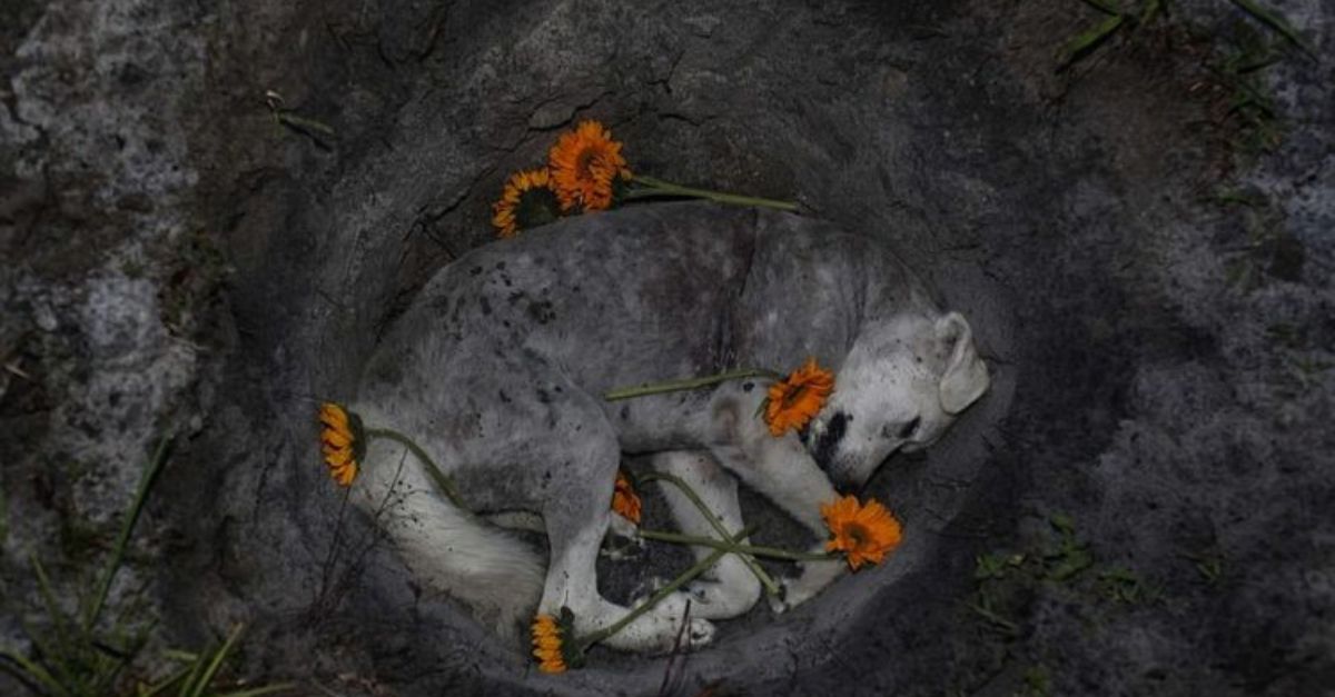 ‘Get Him Out!’ – Furious Real Madrid Fans Demand Immediate Change at Half-Time in Crucial Clash Against Brest