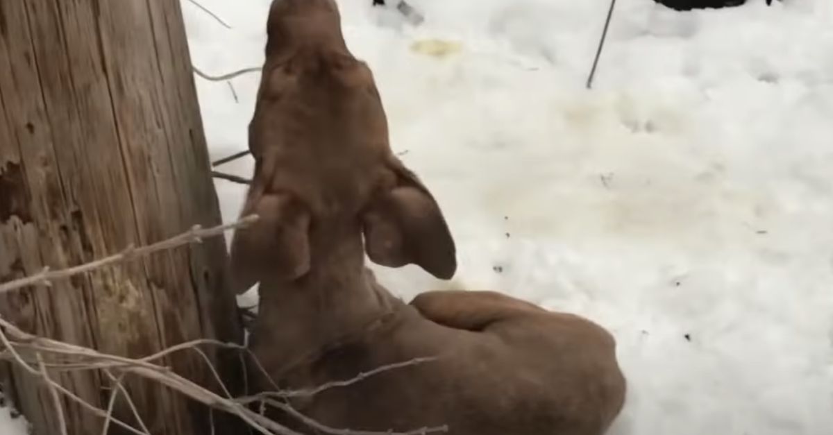 Aston Villa on High Alert as Real Madrid’s Rising Star Manuel Ángel Becomes a Top Transfer Target