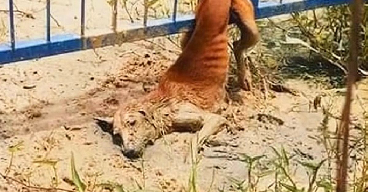 Mbappe’s Bizarre Positioning Against Valencia Sparks Outrage: Fans Stunned by ‘Unbelievable’ Moment in Shocking Display!