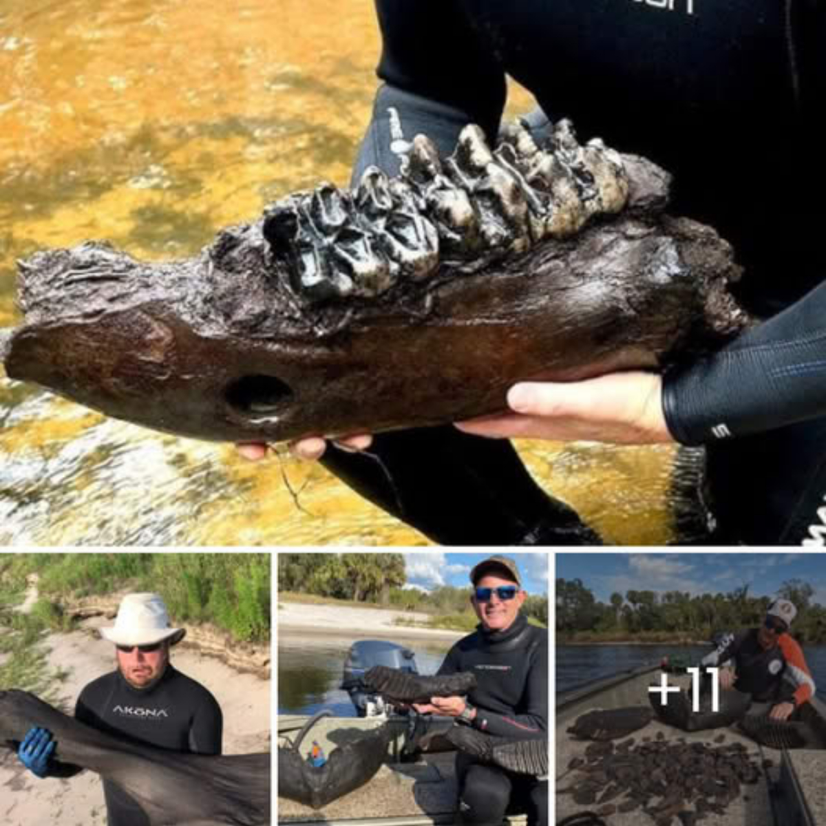 Conmovedor Instinto de Supervivencia: Perrito se Esconde, Aterrorizado, para Escapar del Trágico Destino de sus Hermanos Caídos