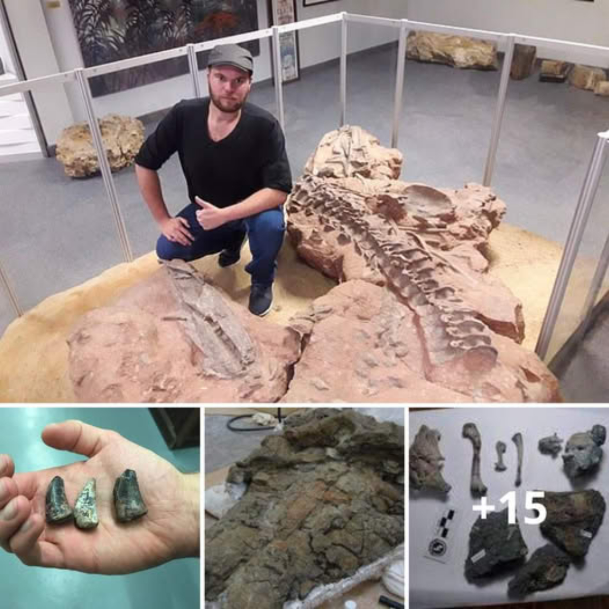 Experts Discovered Fossilized Teeth in Africa that Belong to Massive 32-Foot Crocodiles, which Lived 210 Million Years Ago and likely Preyed on Dinosaurs.  ‎