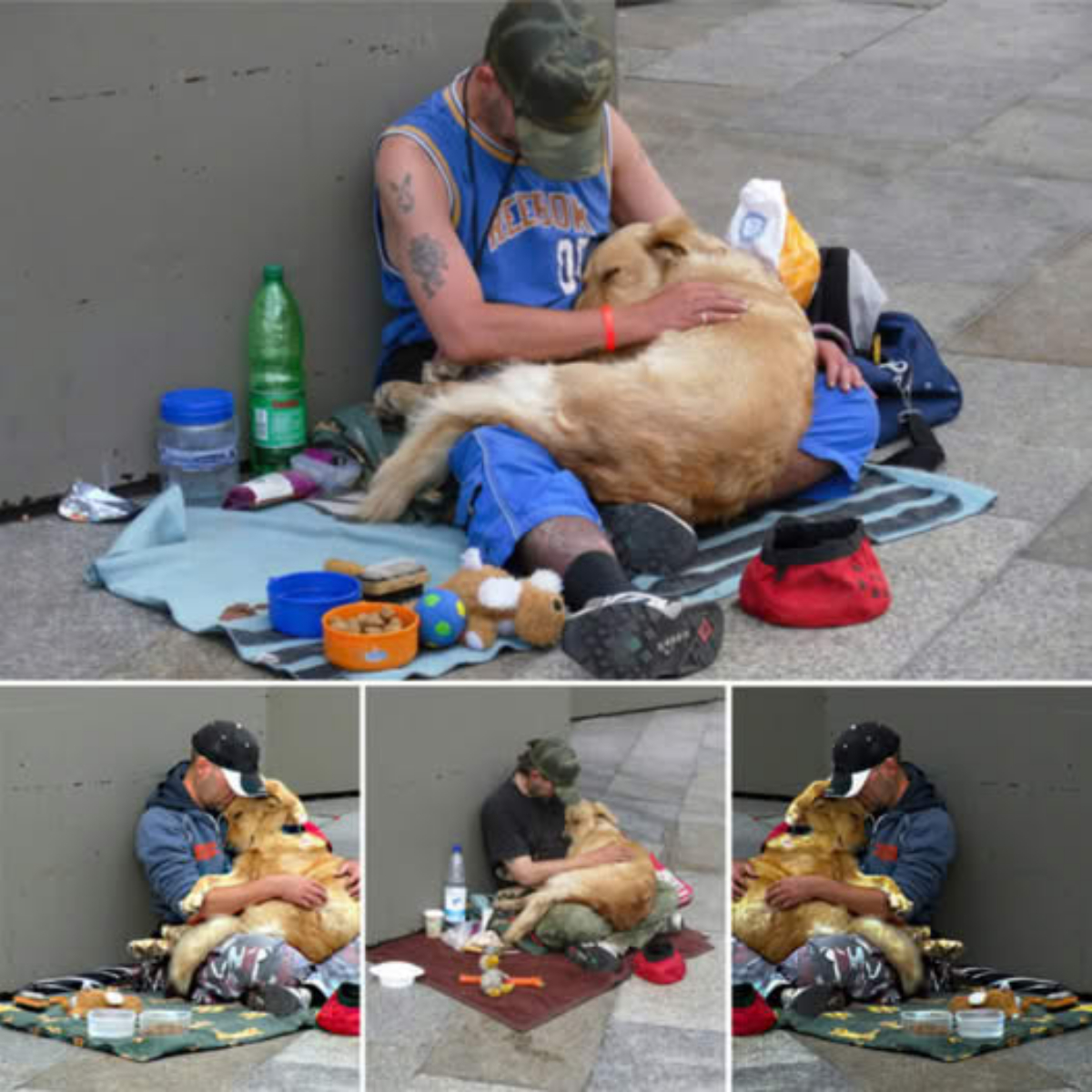 Perrita que Lloró Desesperada tras ser Herida por un Tren Ahora Mueve su Colita Llenando Corazones de Esperanza