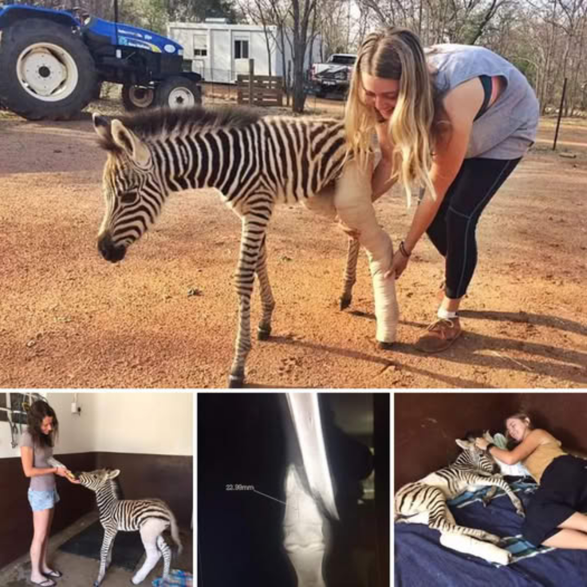 Relentless Warriors: Rudiger and Valverde Lead Real Madrid’s Charge as Most Used Players, Battling Without a Moment’s Rest