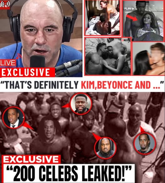 From Despair to Hope: Dying Puppy Found Alone in the Woods Miraculously Transforms and Discovers the Love It Deserves