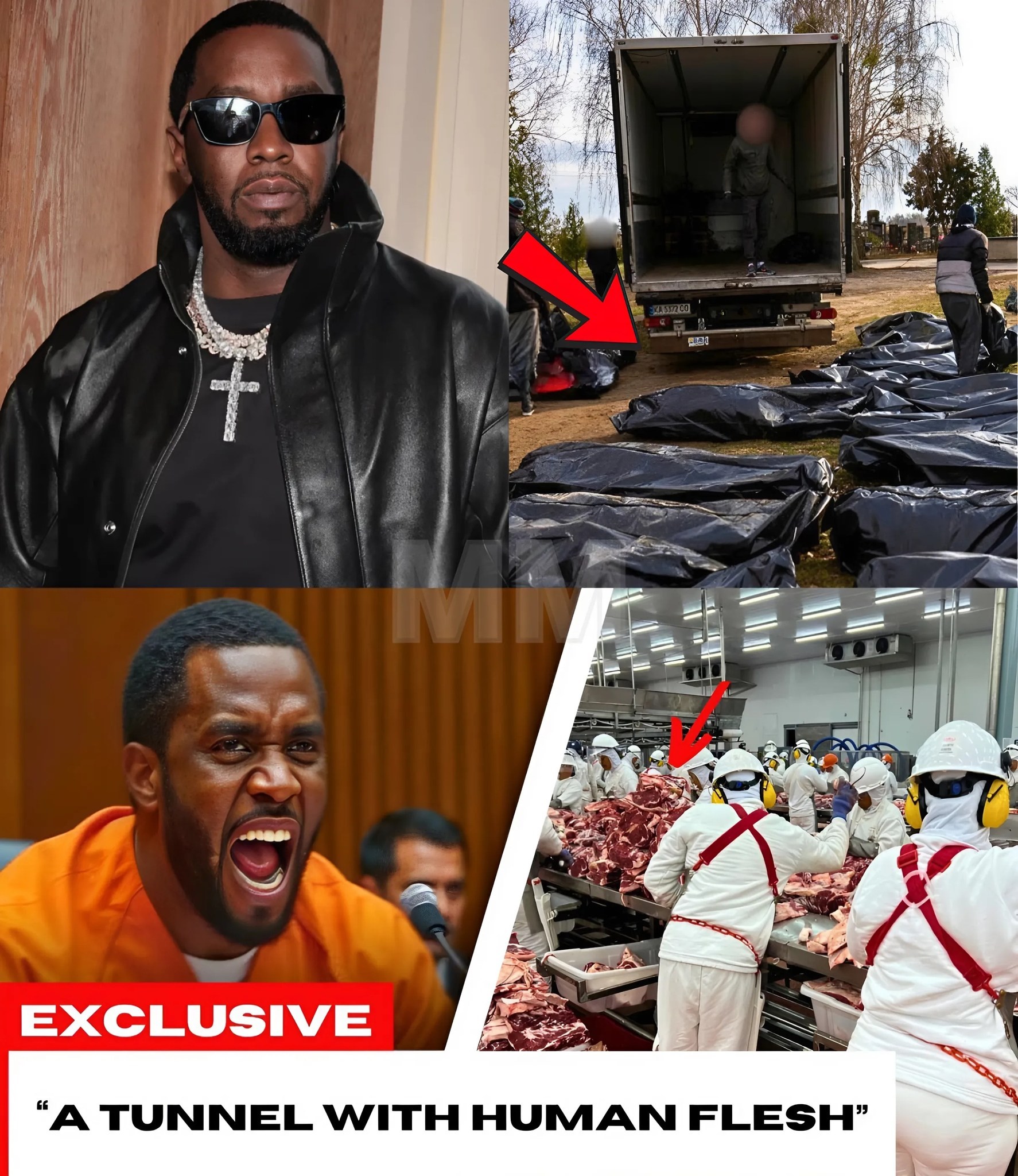 With his eyes broken and his bones marked, the little dog lay dying day after day, abandoned on a rooftop.