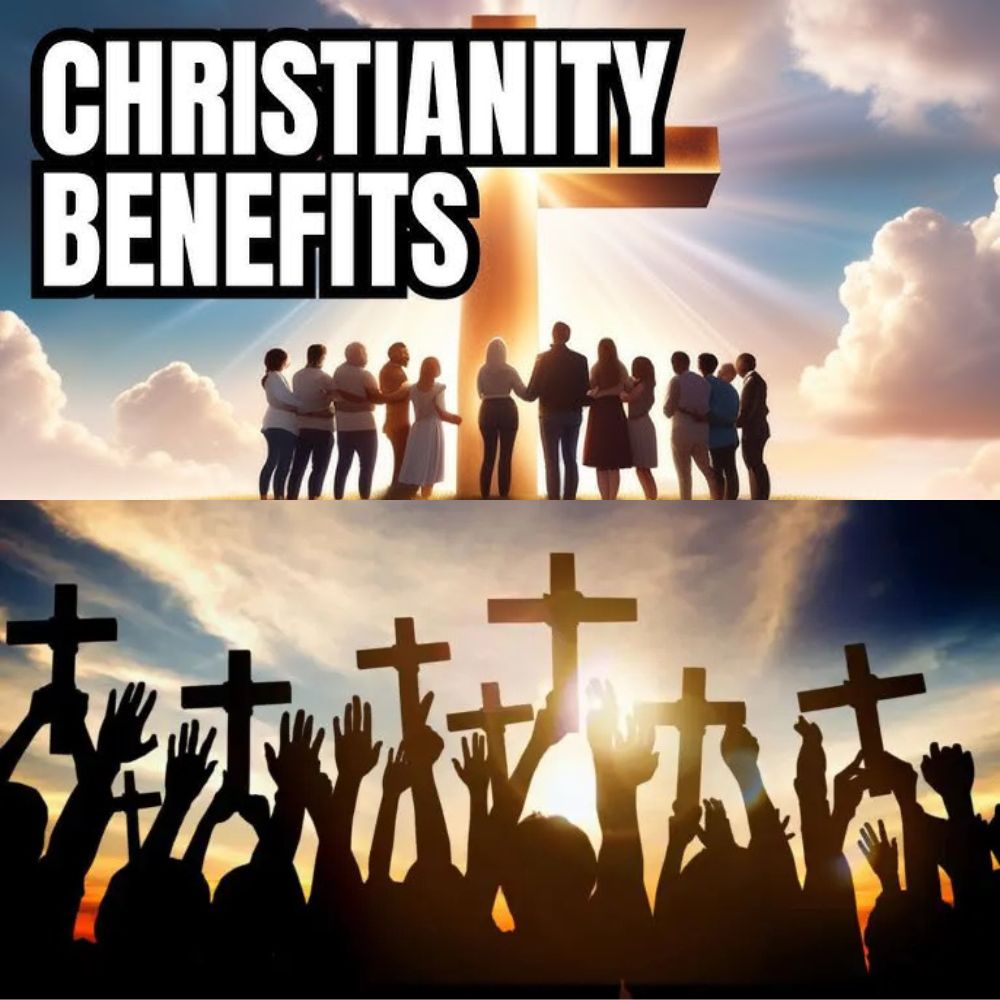 “From Playful to Helpless” – Heartbreak as Energetic Puppy Lies Motionless in His Crate, Bearing the Scars of a Tough Journey