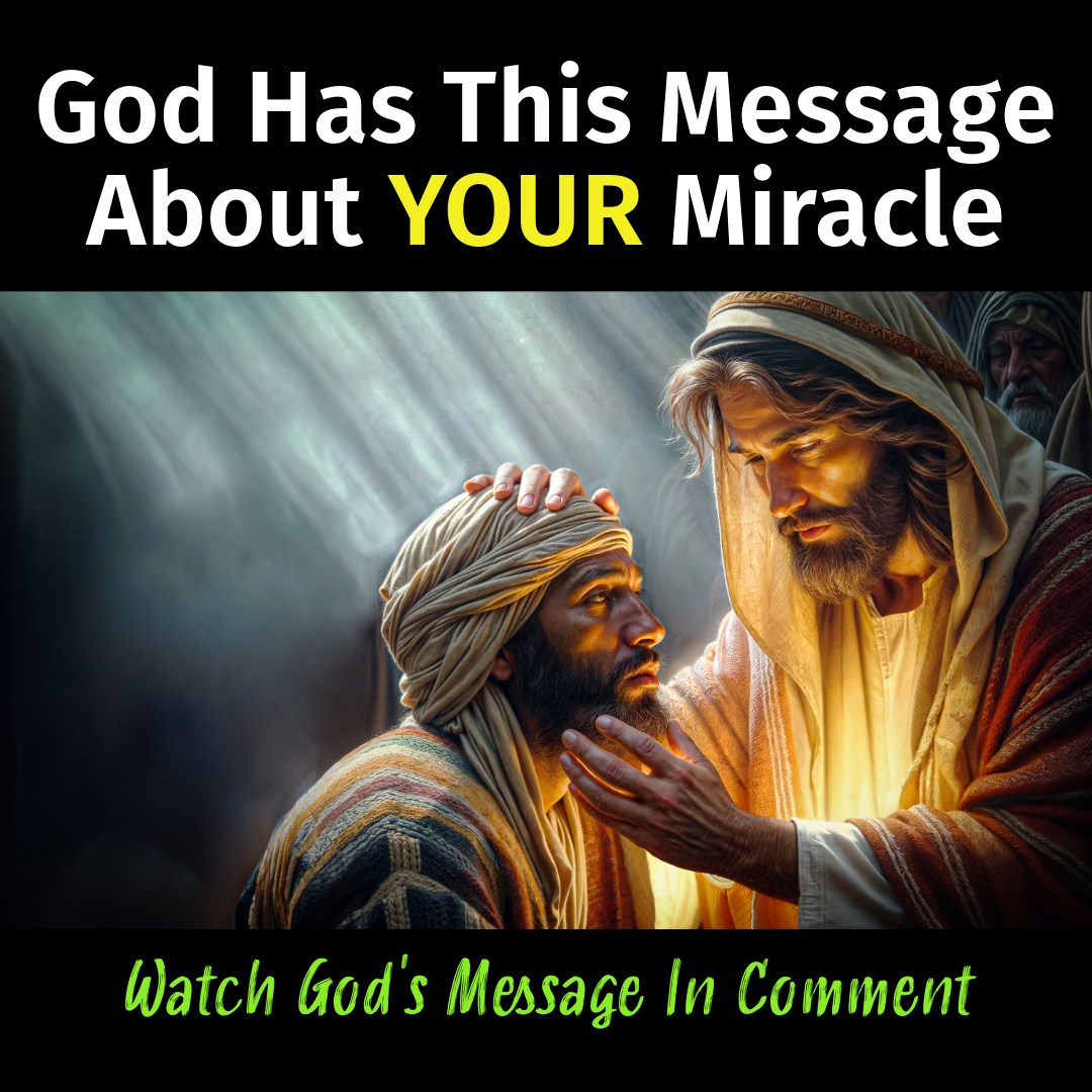 Perrito Callejero Llora de Dolor y Desesperación, Aferrándose a una Última Esperanza Antes de Encontrar el Milagro de un Hogar