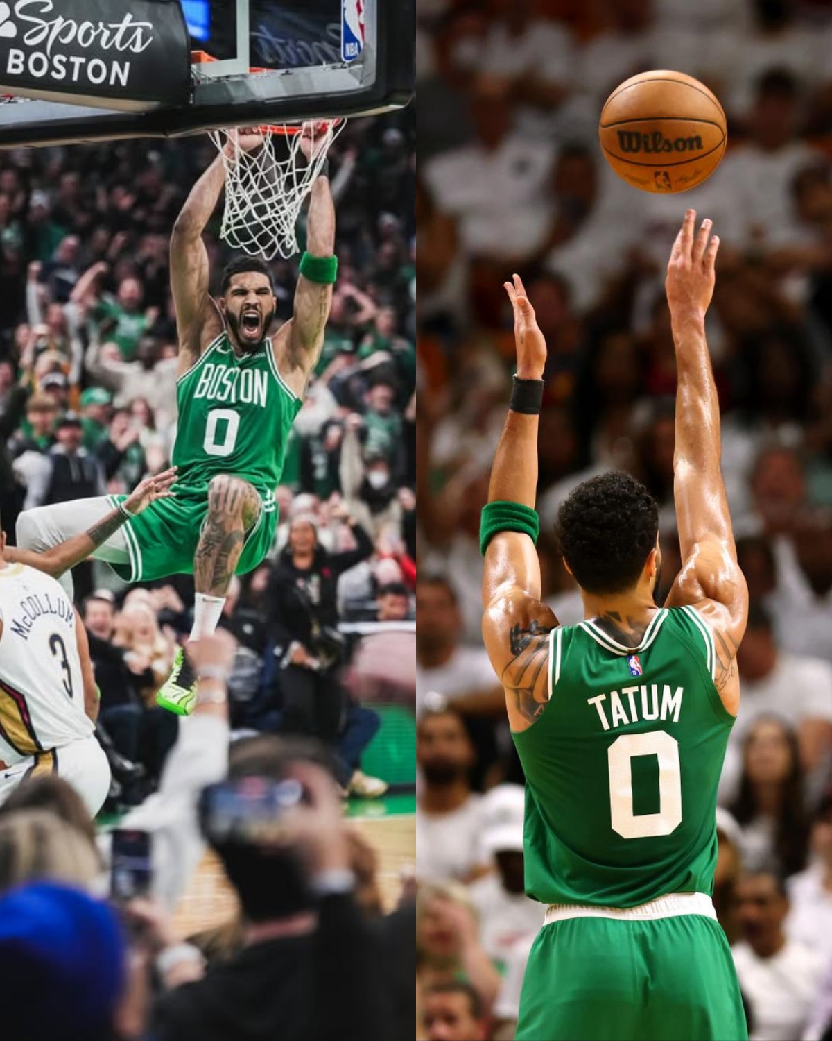 Es desgarrador ver a un pobre perrito inmóvil durante días, con su pata atrapada en una trampa, esperando un milagro