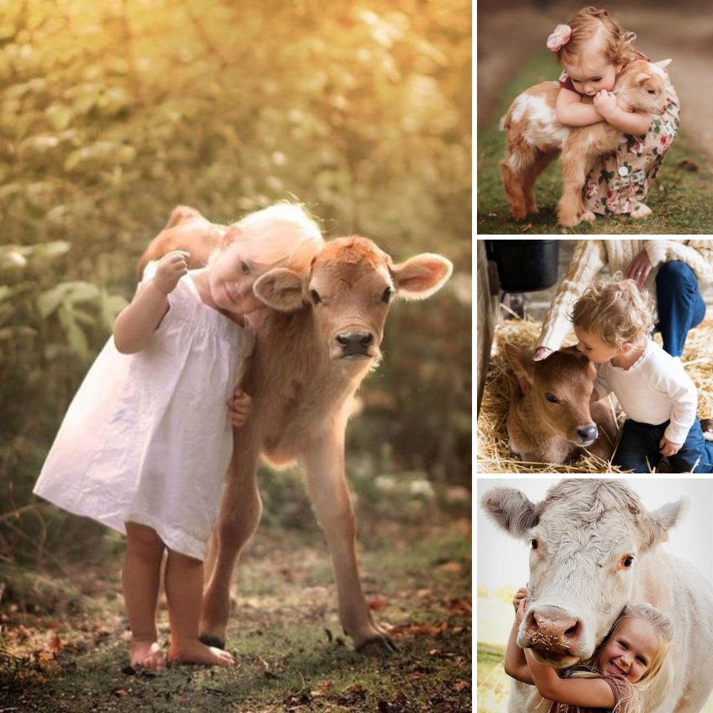 Abandonado en una valija en medio de la nada, perrito valiente lucha incansablemente por una segunda oportunidad de vida