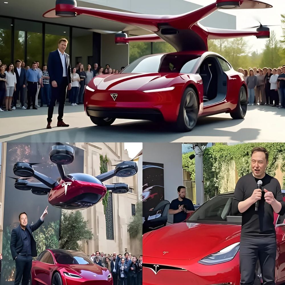 Forever Together: After 8 Years of Confinement, Two Rescued Lions Rediscover Freedom and Their Unbreakable Bond