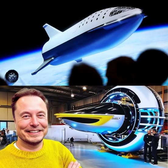 Starved and chained to a tree, the helpless dog awaited the end—until a kind soul gave him a new life.