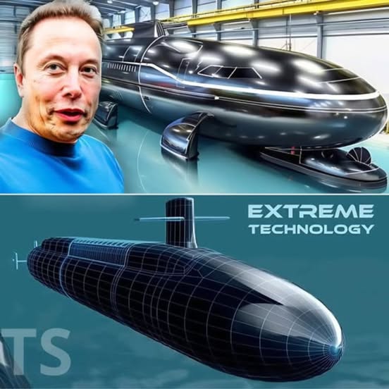 Farewell, My Love: Rescued Lion Stays Devotedly by Ailing Mate’s Side, Their Bond Unbroken Until Her Final Breath