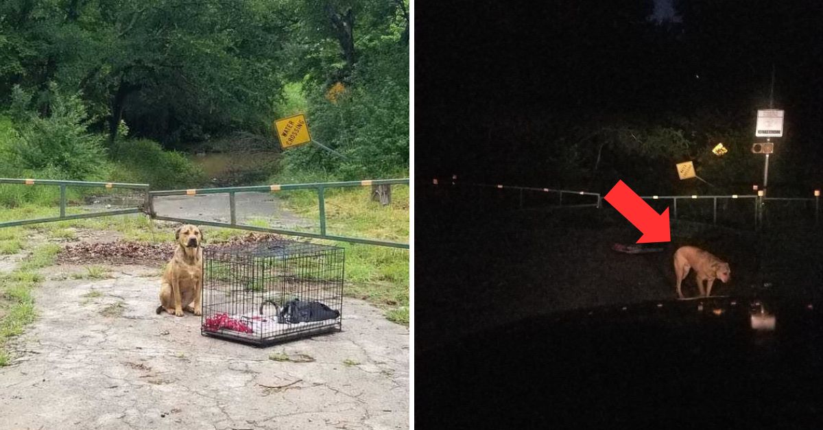 Con su jaula y sus pocas pertenencias, espera con el corazón roto a la familia que lo dejó atrás