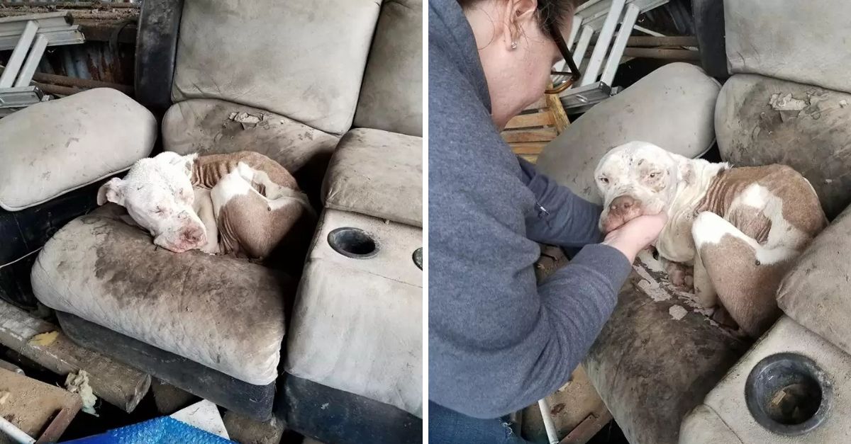 Temblaba de miedo, pero al abrazar su primer peluche, su mirada triste se llenó de luz y amor por primera vez