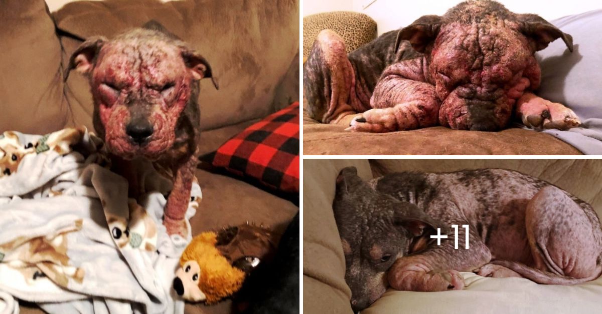 Con la cabeza gacha y el alma herida, parecía entender que su piel manchada no le quitaba el derecho a ser amada