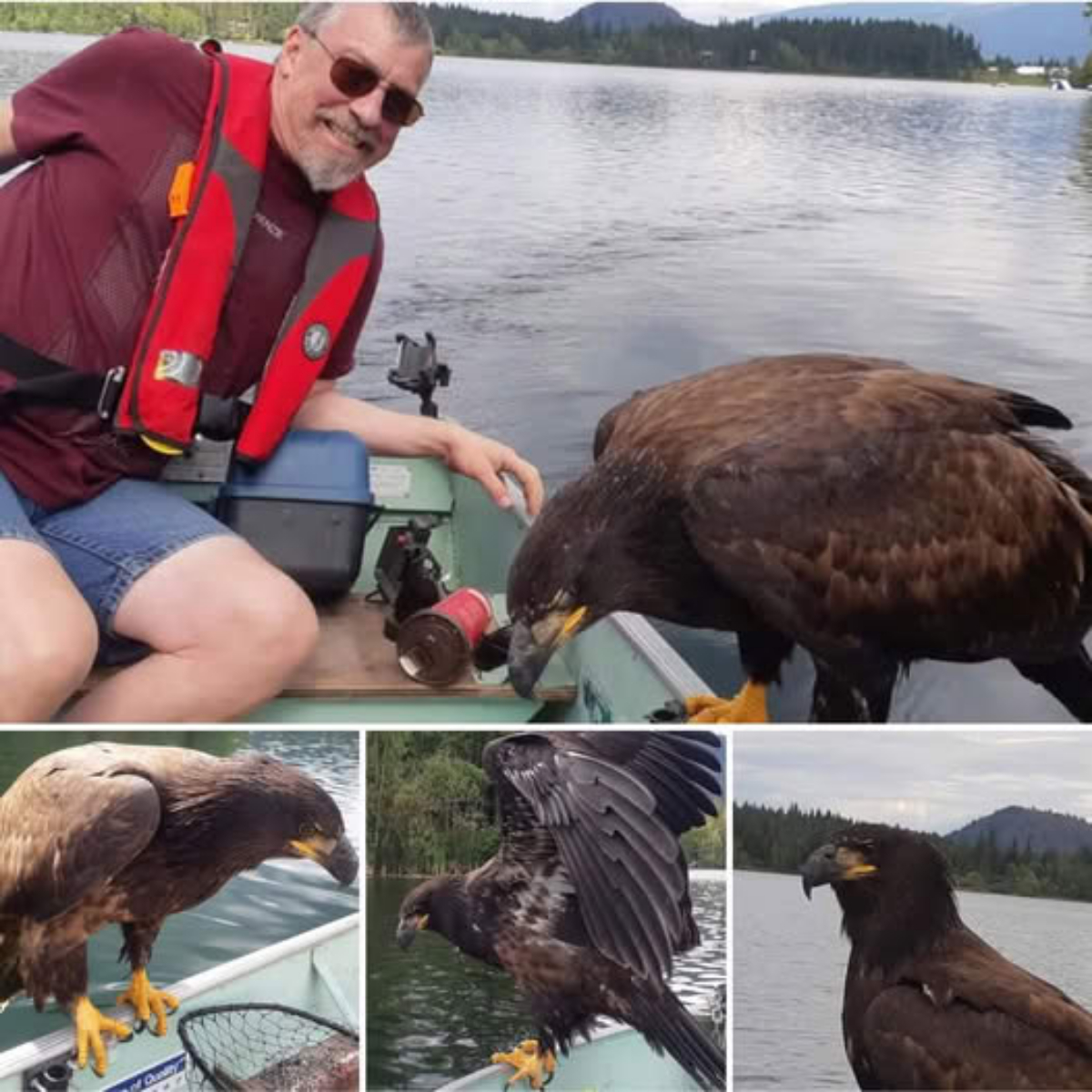 Abandonada en la basura y enferma, pero aún con esperanza: una historia de crueldad que encontró un final lleno de amor