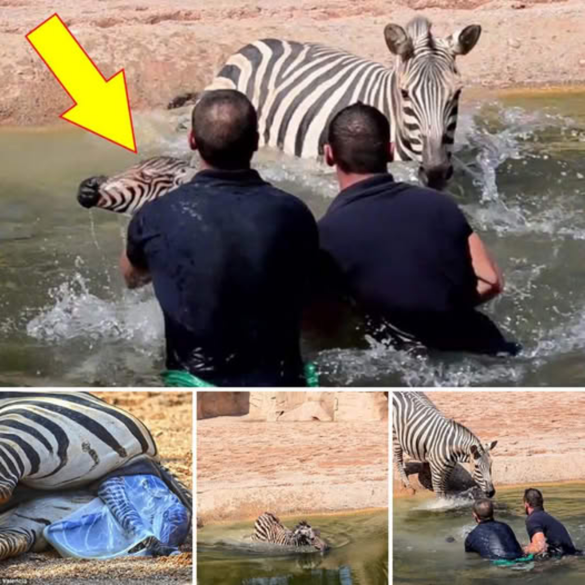 Tension at Real Madrid: Ancelotti and the Board Clash Over Transfer Plans as Winter Window Nears Its End