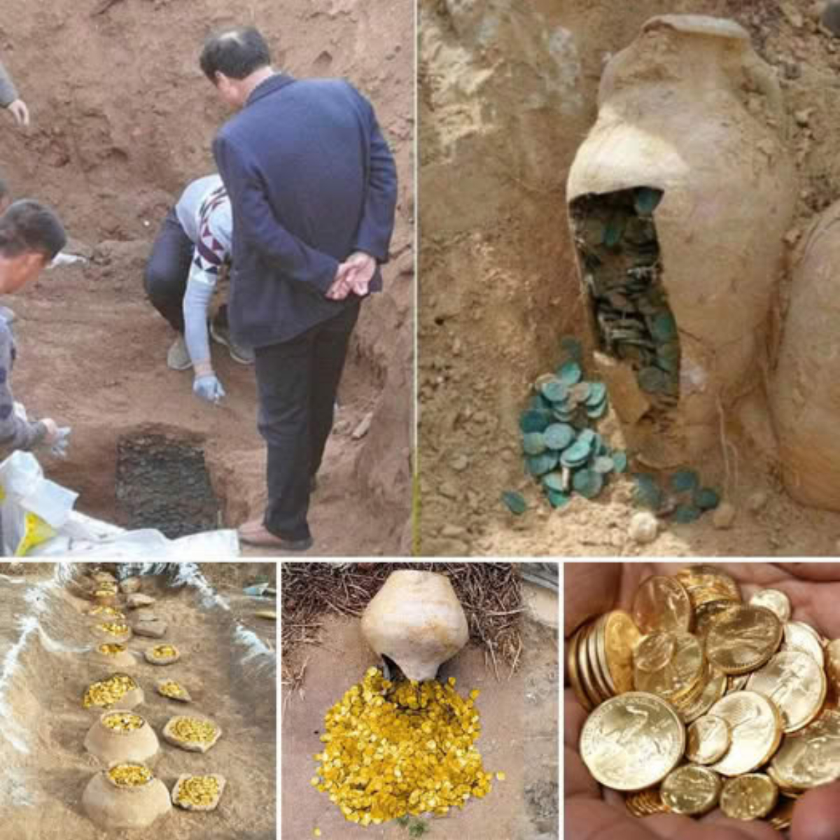 Amid the Ashes of Loss, a Miracle: Grieving Women Find Their Beloved Dog Alive in the Ruins of Their Home