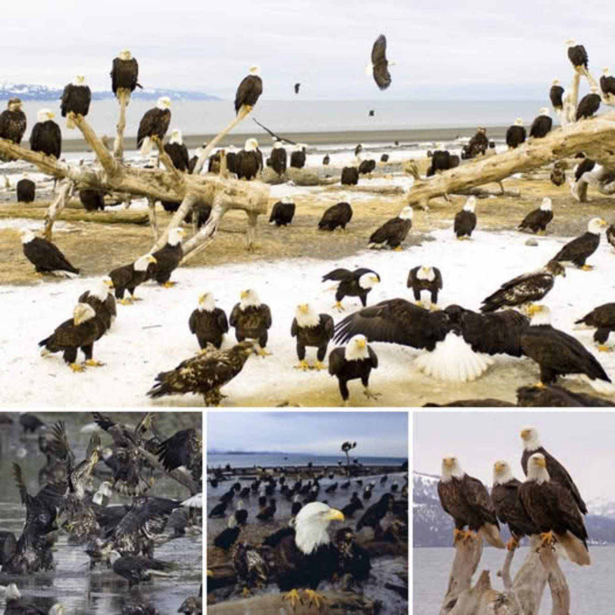 Gonzalo Garcia: The Hidden Gem Real Madrid Discovered—Unveiling the Rising Star’s Incredible Journey