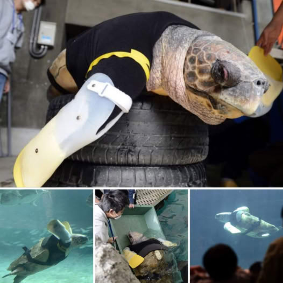 Referees Reportedly Refuse to Officiate Real Madrid Matches Amid Mounting Pressure—A Growing Crisis in LaLiga